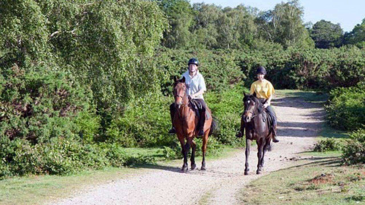 Há uma mulher andando a cavalo pulando sobre uma cerca de madeira